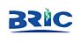 BRIC