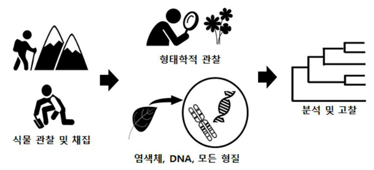 식물계통학 실험방법2